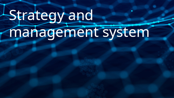 Strategy and management system